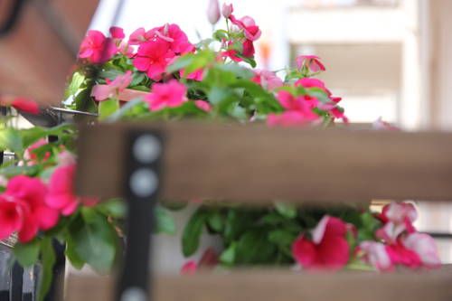 صورة الفندق 16
