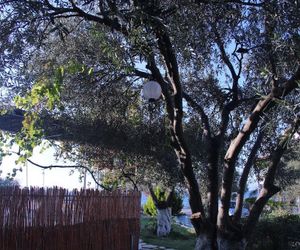 Apart Hotel Ege Ayvalik Turkey