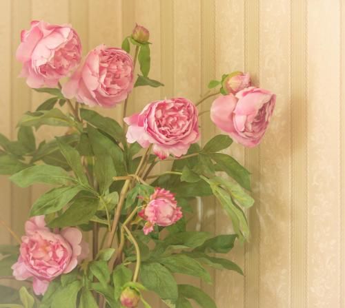 صورة الفندق 13