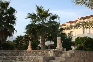 صورة الفندق 8