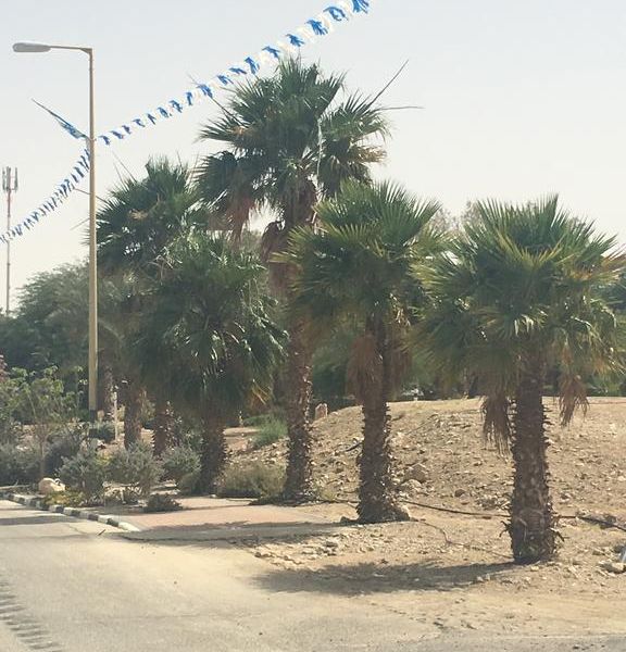 صورة الفندق 21
