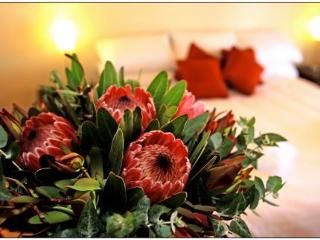 صورة الفندق 13