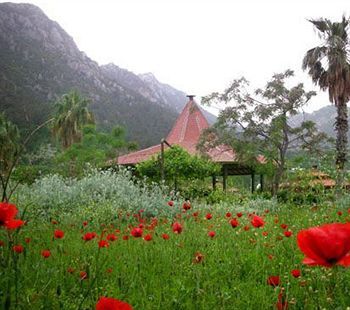 صورة الفندق 23