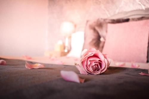 صورة الفندق 11