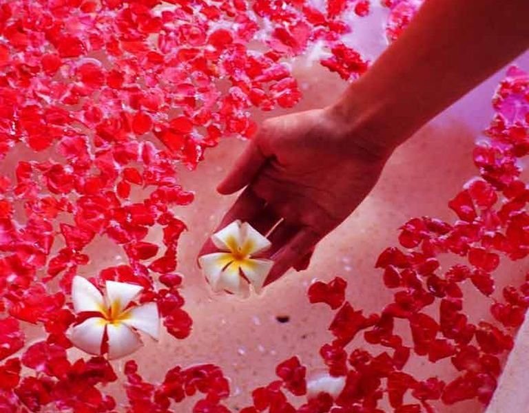 صورة الفندق 15
