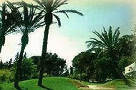 صورة الفندق 6