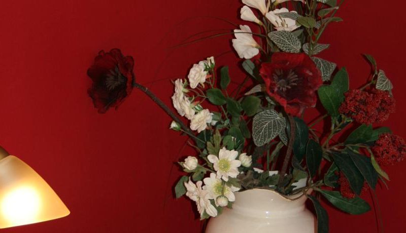 صورة الفندق 15