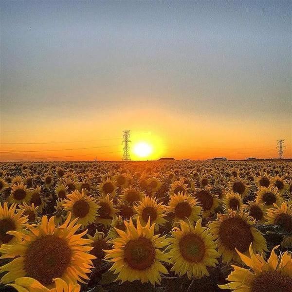 صورة الفندق 20