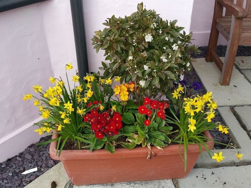 صورة الفندق 21