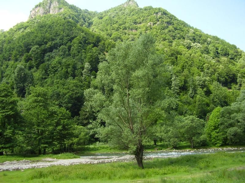 صورة الفندق 17