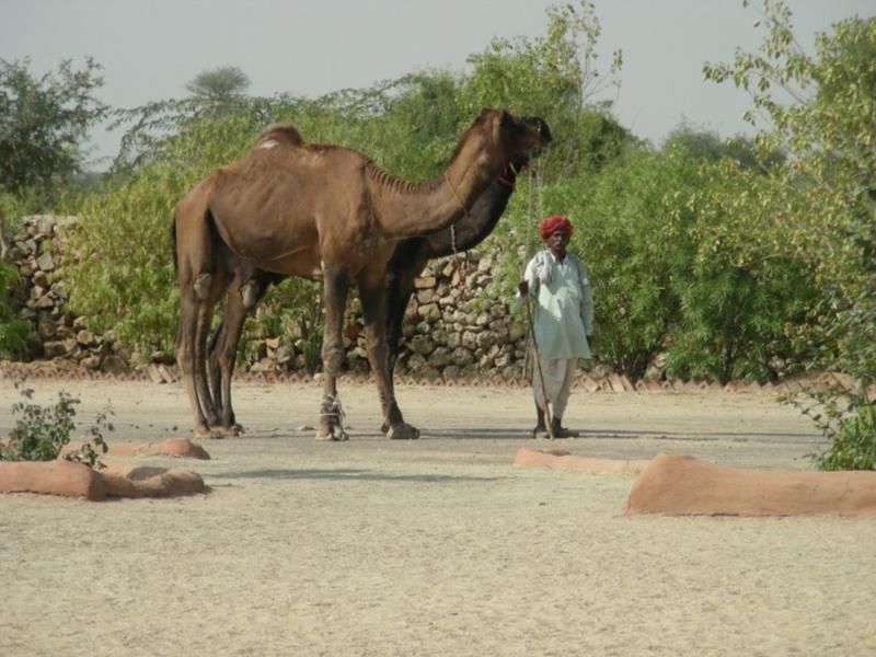 صورة الفندق 16
