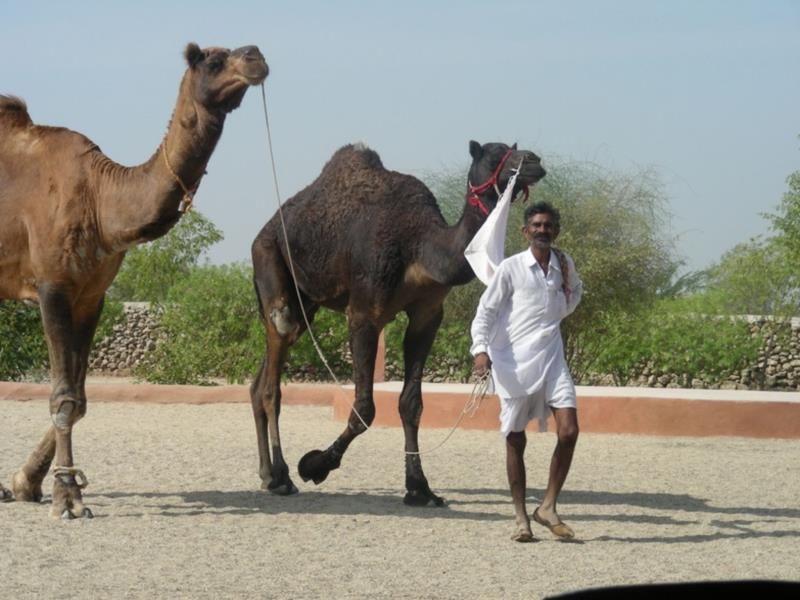 صورة الفندق 17