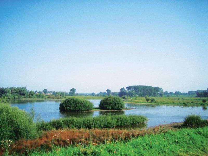 صورة الفندق 18