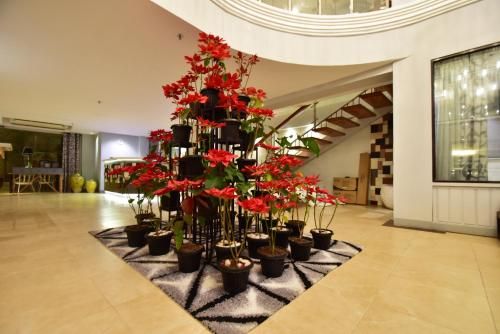 صورة الفندق 18
