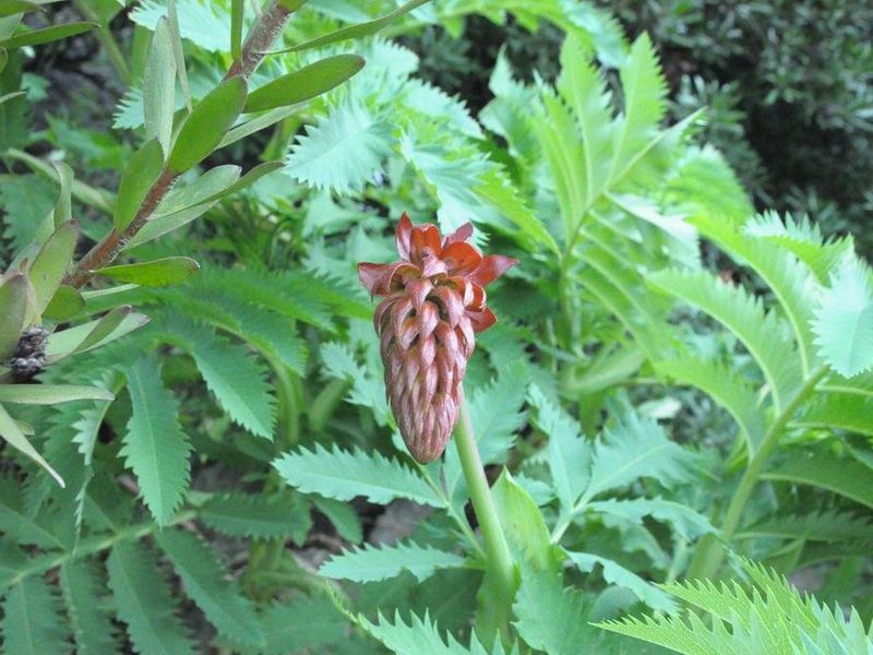 صورة الفندق 20