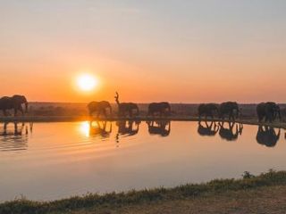 Фото отеля Jabulani Safari