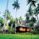 Фото отеля SAii Phi Phi Island Village