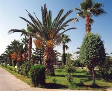 صورة الفندق 19