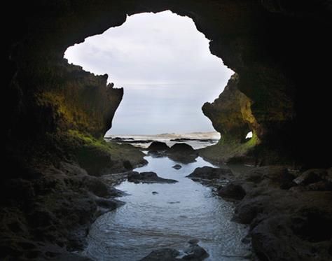 صورة الفندق 15