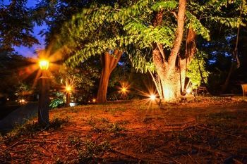 صورة الفندق 16