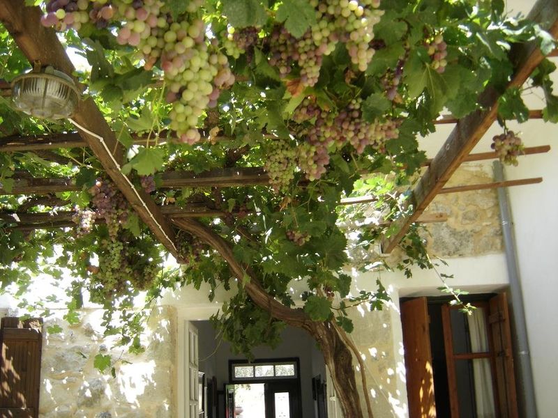 صورة الفندق 17