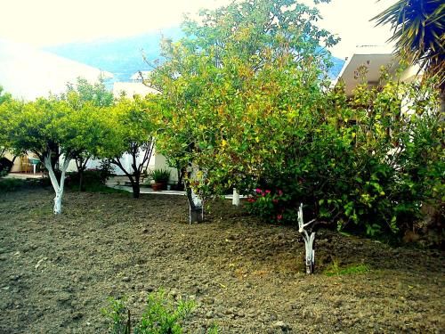 صورة الفندق 20