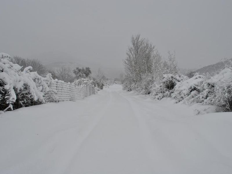 صورة الفندق 20
