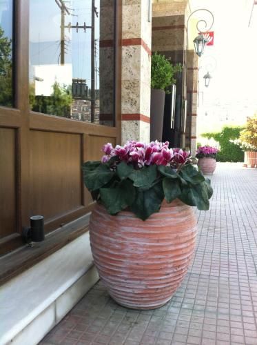 صورة الفندق 19