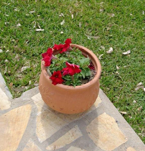 صورة الفندق 21
