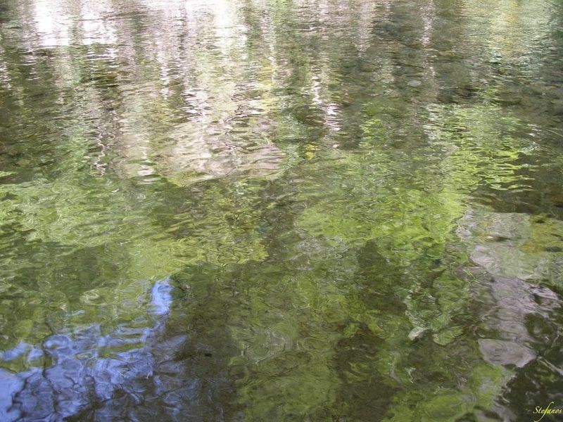 صورة الفندق 22