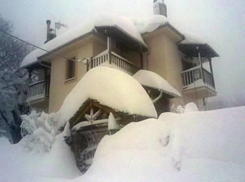 صورة الفندق 8