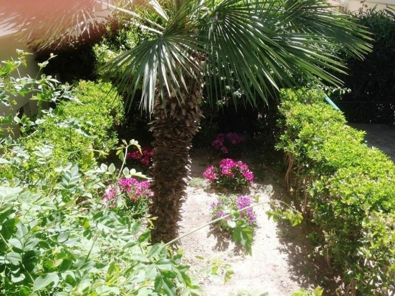 صورة الفندق 21
