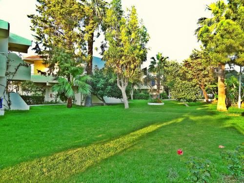 صورة الفندق 20