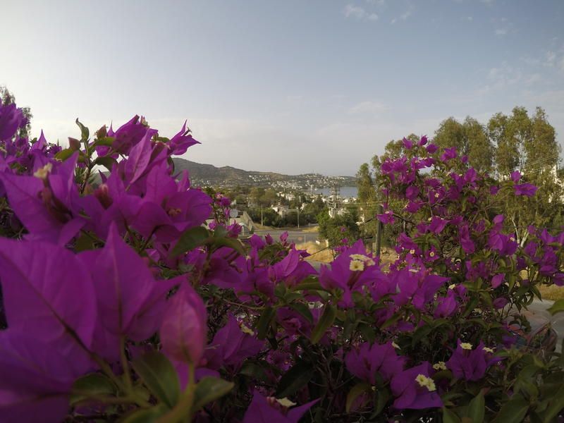 صورة الفندق 20