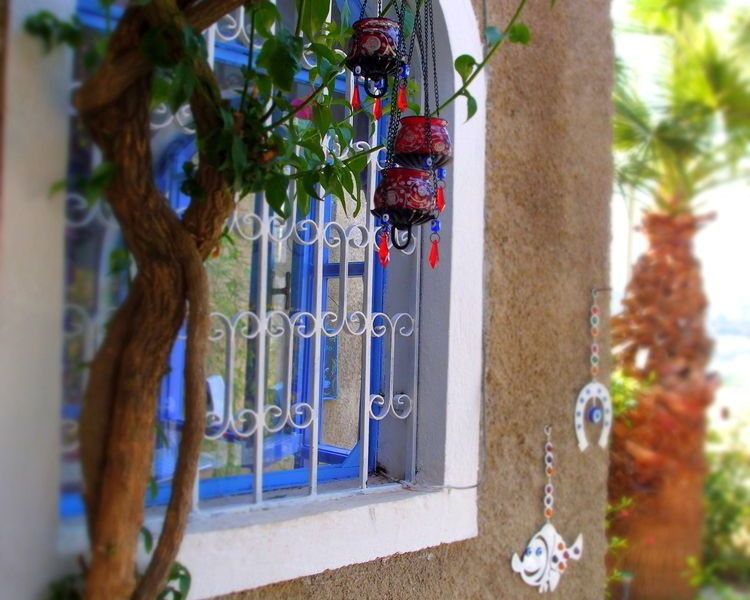 صورة الفندق 9