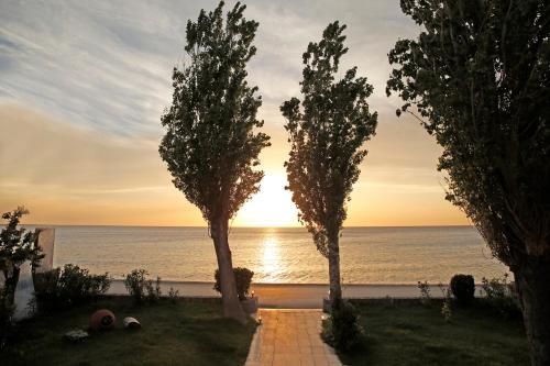صورة الفندق 18