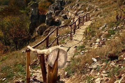 صورة الفندق 18