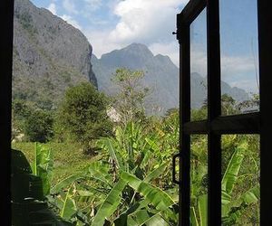 Organic Mulberry Farm Muang Vangviang Laos