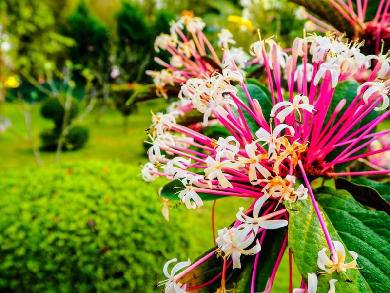 صورة الفندق 17