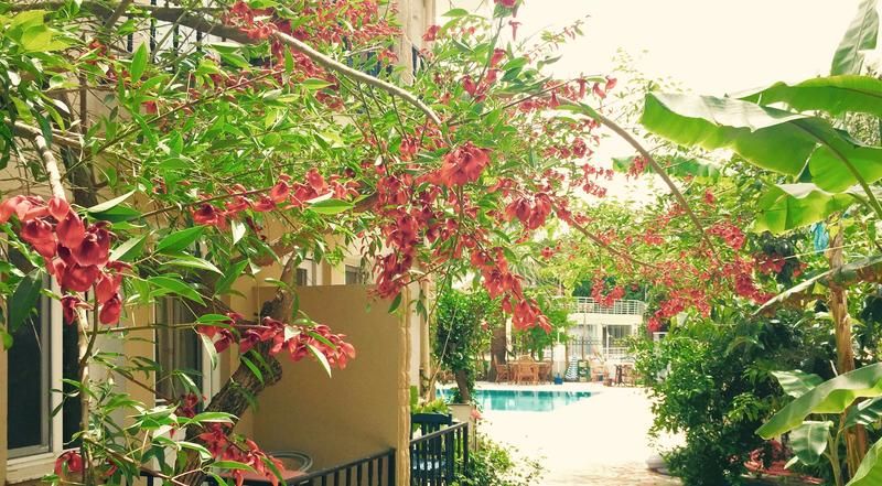 صورة الفندق 19