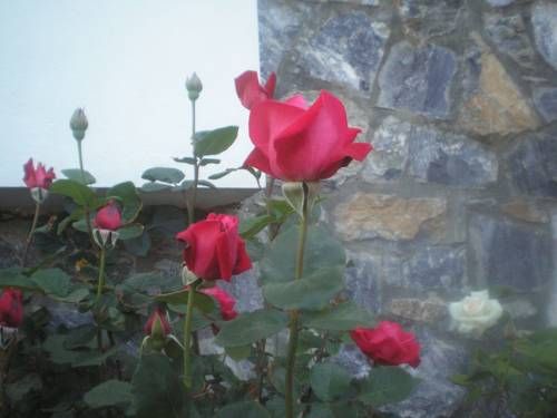 صورة الفندق 6