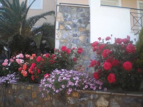 صورة الفندق 7