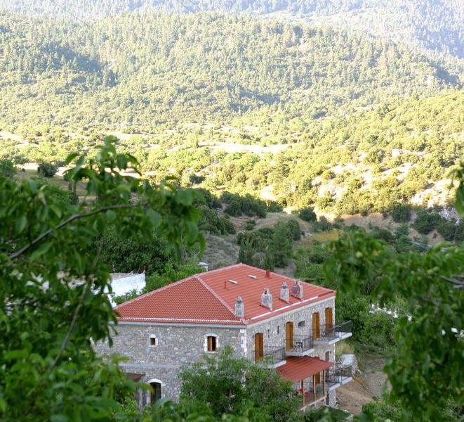 صورة الفندق 20