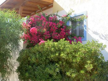 صورة الفندق 18