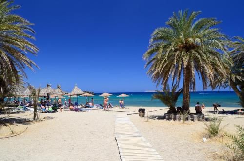 صورة الفندق 24