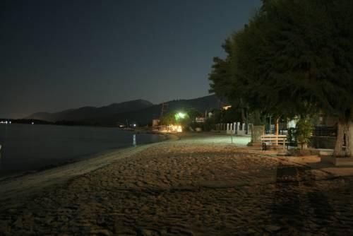 صورة الفندق 24
