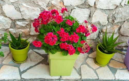 صورة الفندق 15