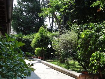 酒店图片 10