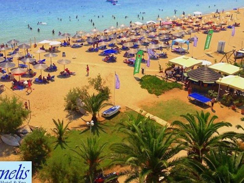صورة الفندق 24