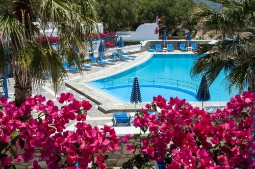 Hotel Photo 21
